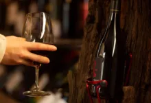 Fruit Wine Production in Uttar Pradesh