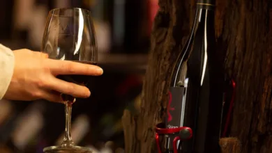 Fruit Wine Production in Uttar Pradesh