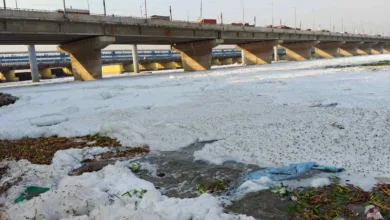 Ganga pathway project