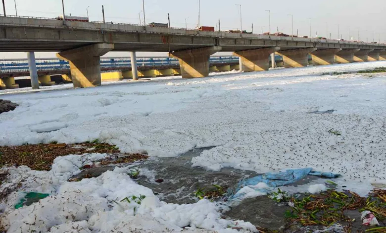 Ganga pathway project