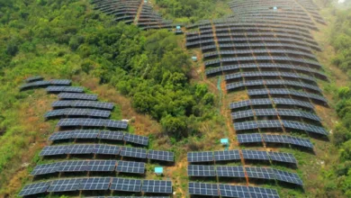 SAEL solar plant Uttar Pradesh