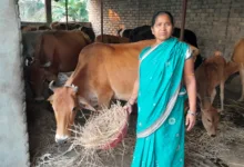 SC-ST Women Cow-Based Economy