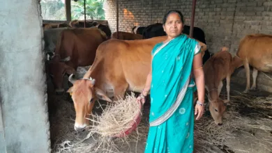 SC-ST Women Cow-Based Economy