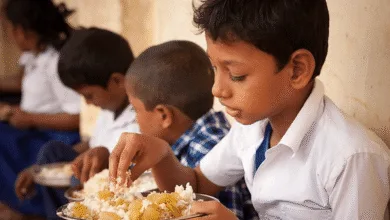 Sambhavah 5.0