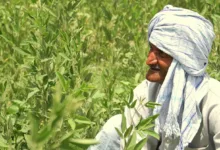 Uttar Pradesh Barren Land Reclamation