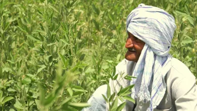 Uttar Pradesh Barren Land Reclamation