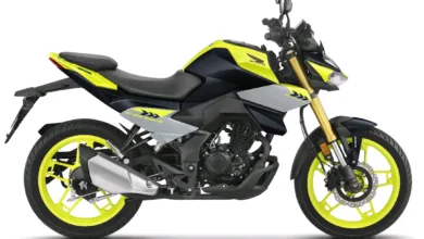 Honda CB125 Hornet and Shine 100 DX