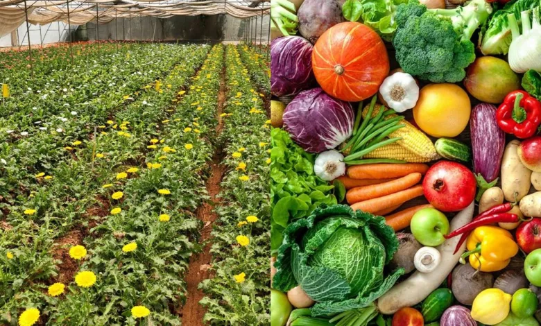 One Block One Crop initiative in UP
