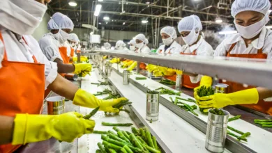 food processing infrastructure in India