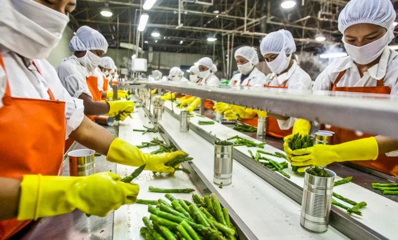 food processing infrastructure in India