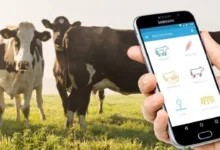 Digital Dairy Transformation in India