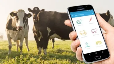 Digital Dairy Transformation in India